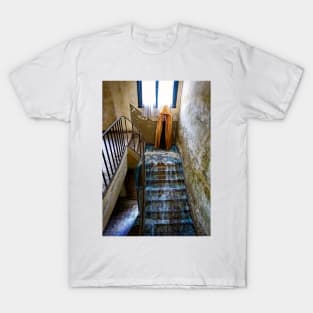 witch, mystery, abandoned, ruin, monastery T-Shirt